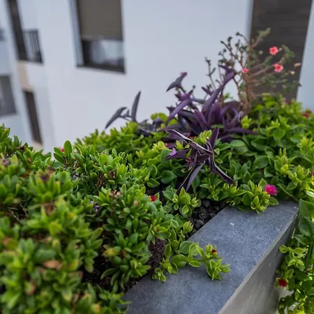 דירה Casa Albatros - Luxurioeses Penthouse-apartment קלטה דה פוסטה
