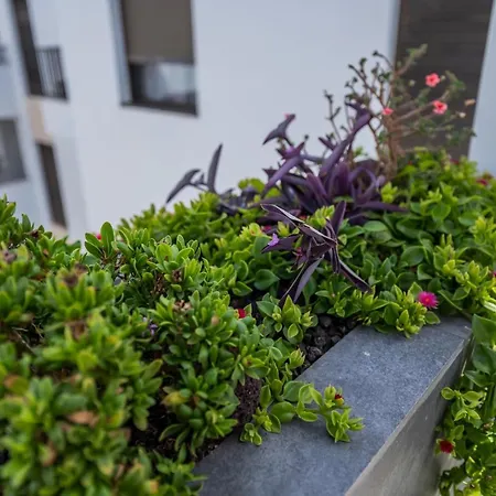 Appartamento Casa Albatros - Luxurioeses Penthouse-apartment Caleta De Fuste