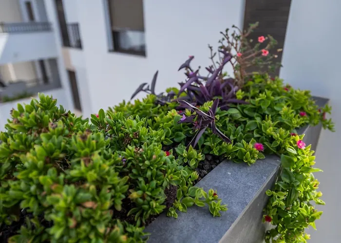 Appartamento Casa Albatros - Luxurioeses Penthouse-apartment Caleta De Fuste